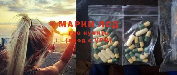 ПСИЛОЦИБИНОВЫЕ ГРИБЫ Алзамай