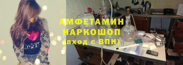 индика Алексин