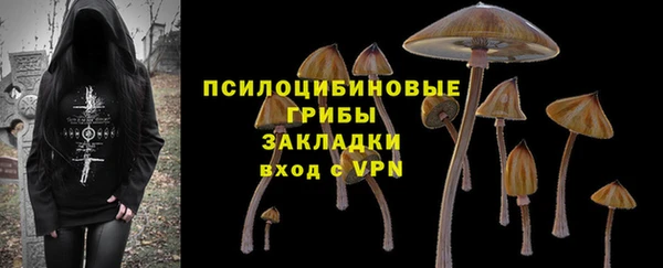 индика Алексин