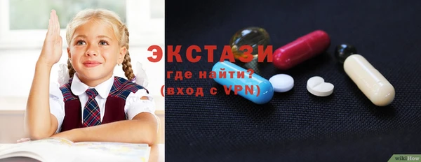 индика Алексин