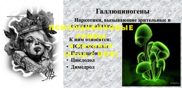 ПСИЛОЦИБИНОВЫЕ ГРИБЫ Алзамай