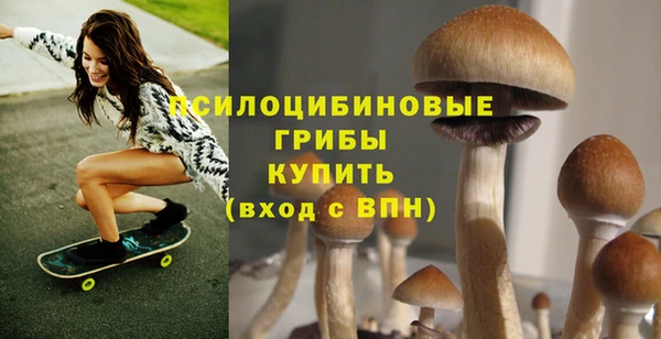 индика Алексин
