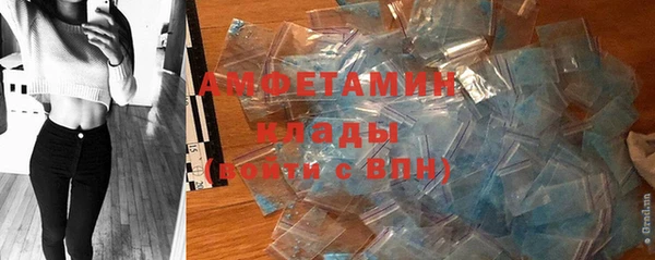 индика Алексин