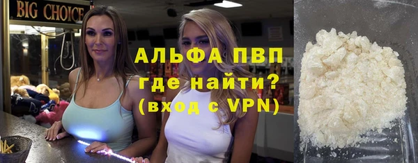 индика Алексин
