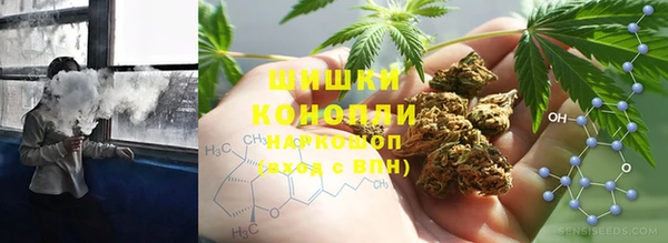 индика Алексин