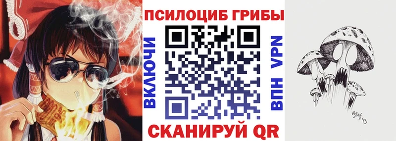 где купить наркоту  Кызыл  блэк спрут ССЫЛКА  Псилоцибиновые грибы Psilocybine cubensis 