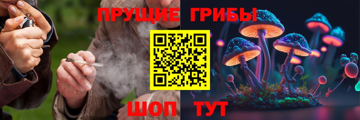 Галлюциногенные грибы Psilocybine cubensis  Галлюциногенные грибы GOLDEN TEACHER  Кызыл  Вход с VPN 